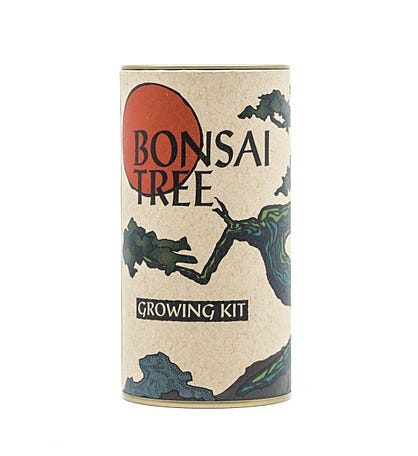 Bonsai Tree Seed Grow Kit